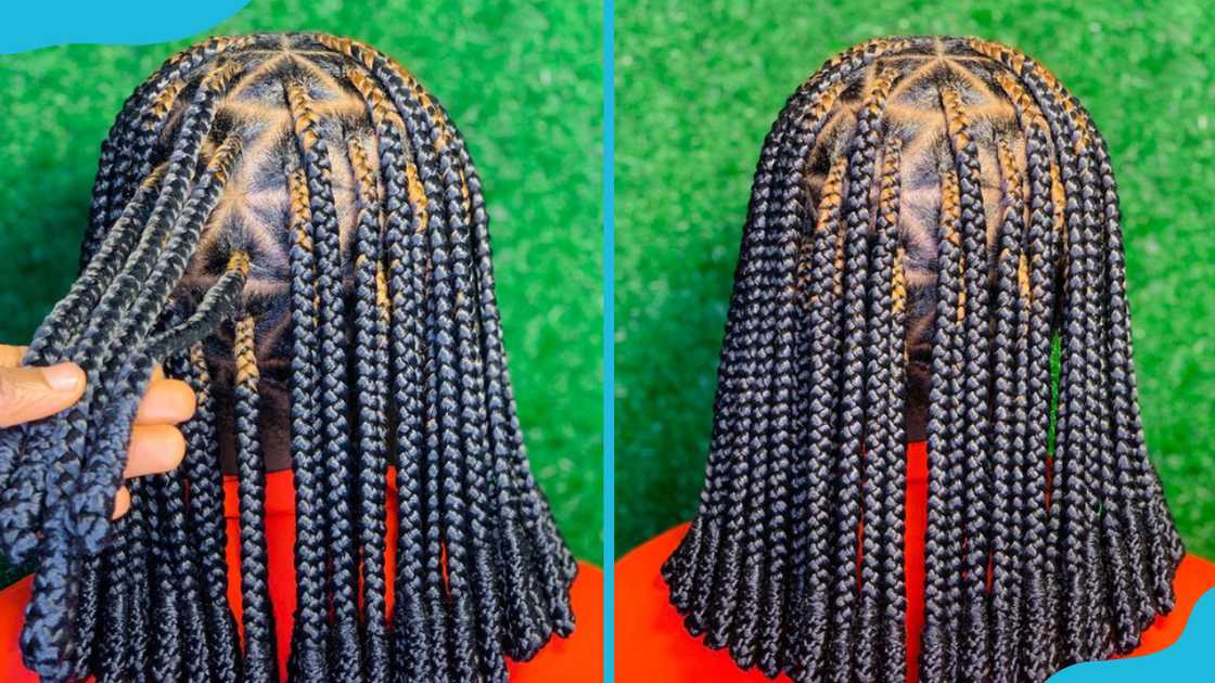 Triangle box braids