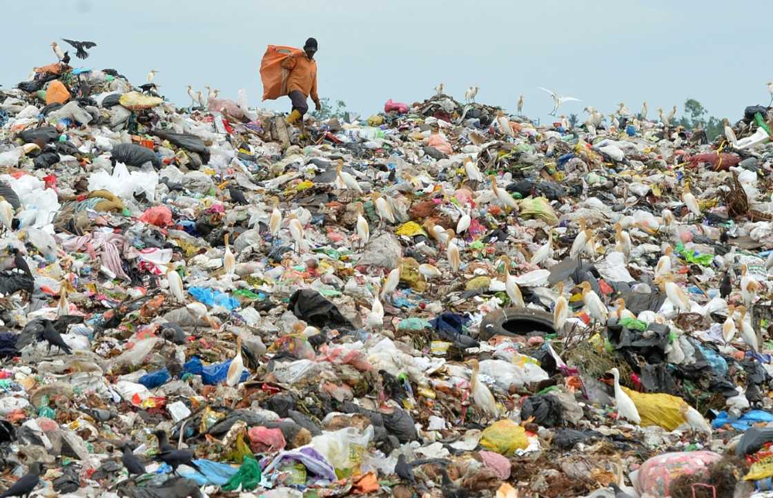 Nearly half of all plastic waste ends up in landfills, while 17 percent is incinerated and 22 percent is mismanaged and becomes litter