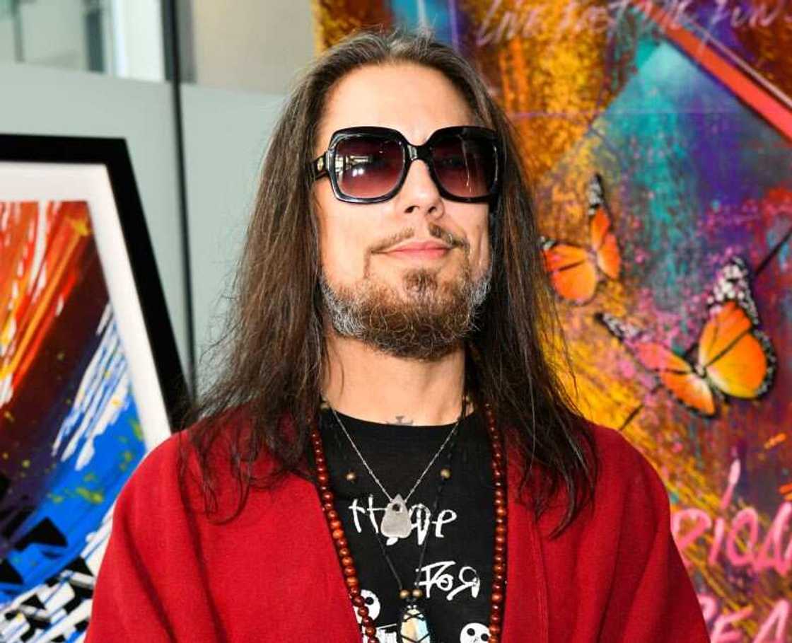 Dave Navarro's spouse