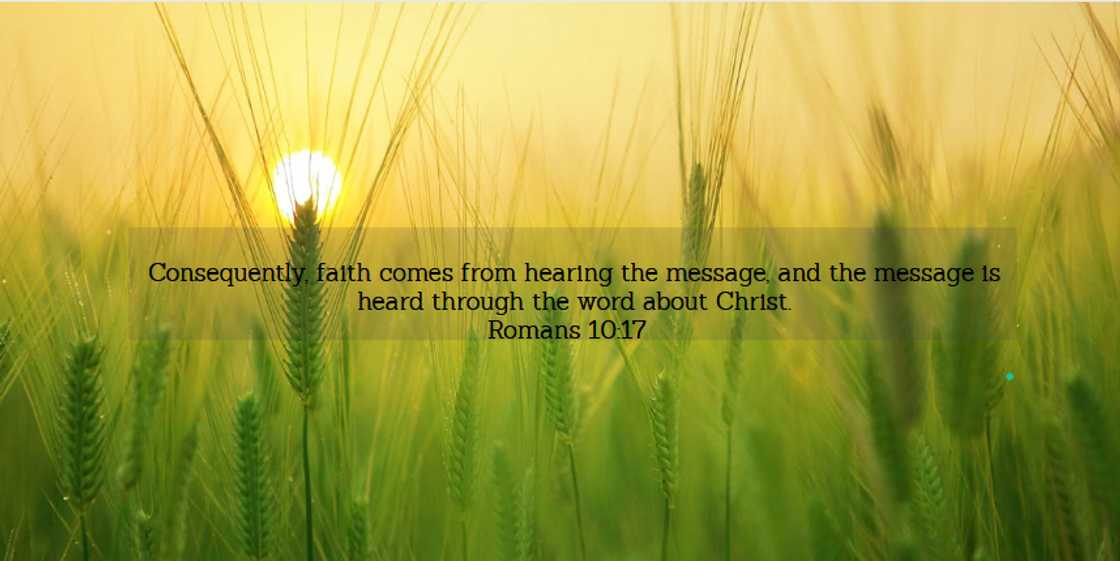 What is faith What is faith