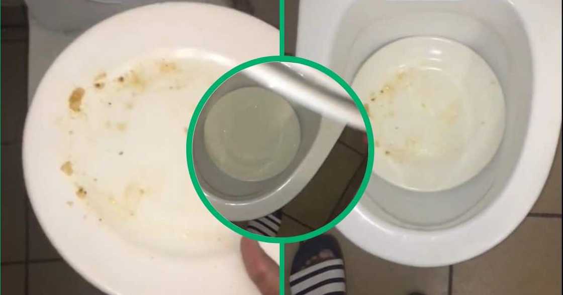 TikTok video of toilet as dishwasher