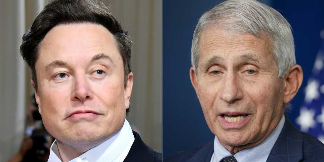 Billionaire Twitter owner Elon Musk (L) and Dr. Anthony Fauci, infectious disease expert and chief medical advisor to the US president Billionaire Twitter owner Elon Musk (L) and Dr. Anthony Fauci, infectious disease expert and chief medical advisor to the US president