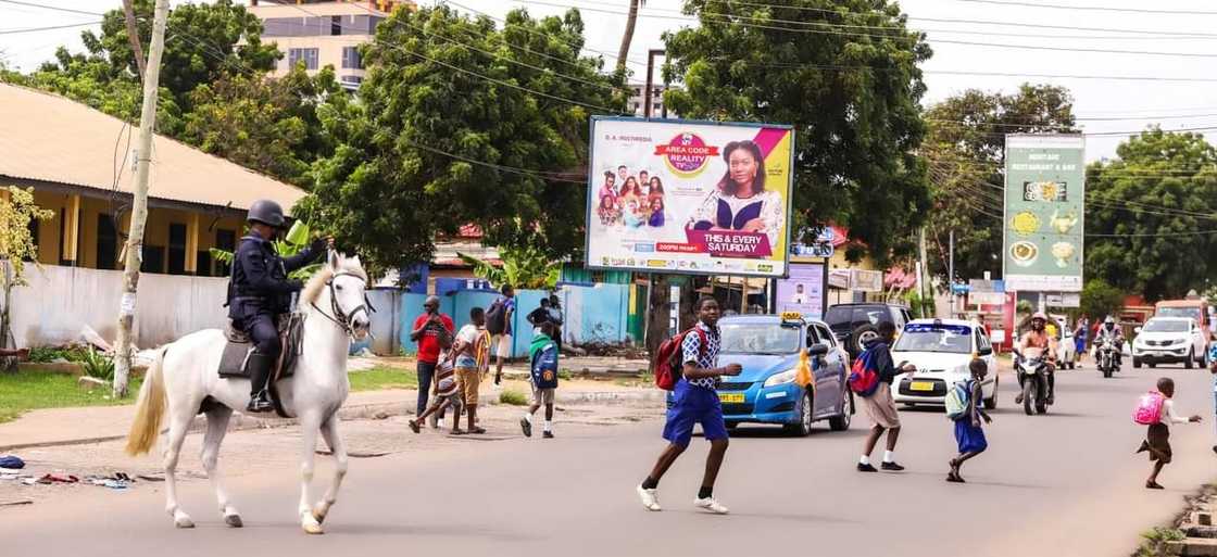 Ghana Police now uses trained horses for zebra-crossings; "but fix faulty traffic lights" - Ghanaians chide