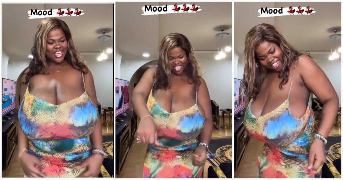 Gorgeous plus size lady dances to Tiwa Savage's Loaded song with Asake Gorgeous plus size lady dances to Tiwa Savage's Loaded song with Asake