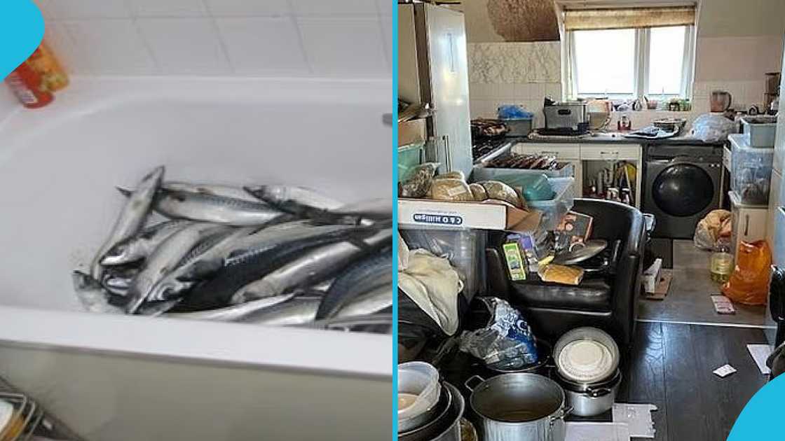 Ghanaian Businessman in UK, Selling Fish, Watford, Stephen Akuoko