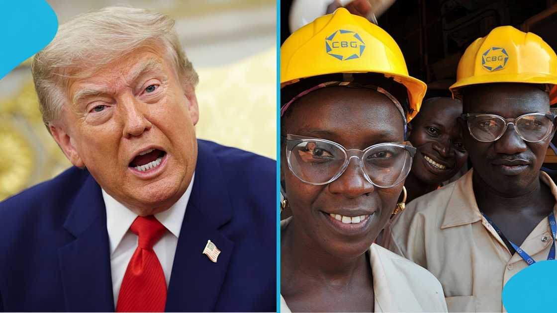 Temporary Protected Status, Trump work permit ban, US judge halts Trump work permit ban, Trump administration policies, US District Judge Nathaniel Gorton, TPS holders, Asylum seekers, US work permit, US immigration, US visa