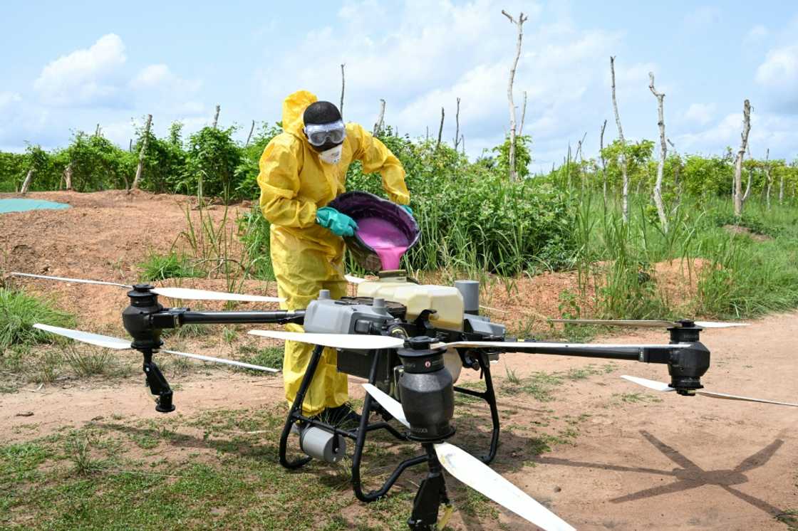 A technician prepares a drone that will spray fungicides on passion fruit fields in Ivory Coast A technician prepares a drone that will spray fungicides on passion fruit fields in Ivory Coast