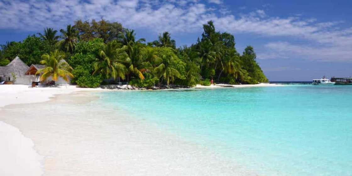 Thoddoo Island is a beautiful island in the Maldives Thoddoo Island is a beautiful island in the Maldives