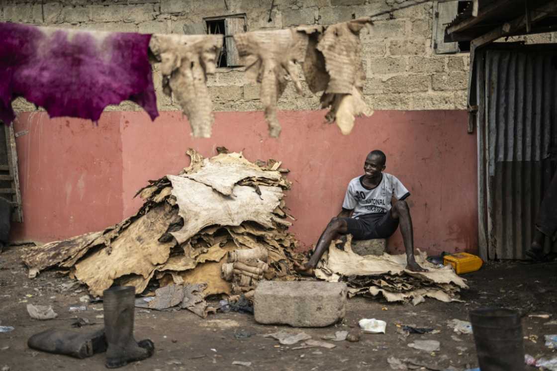 At the Majema tannery, workers clean and treat the hides on the floor At the Majema tannery, workers clean and treat the hides on the floor