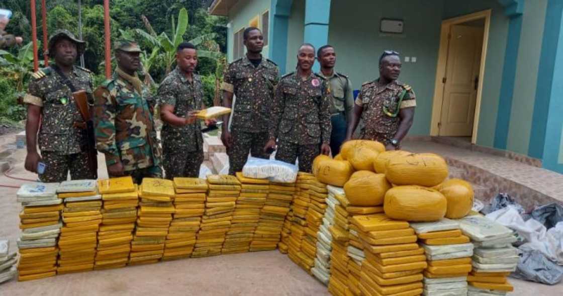 607 parcels of 'wee' intercepted at Wli Todzi in the Volta region by Immigration officials