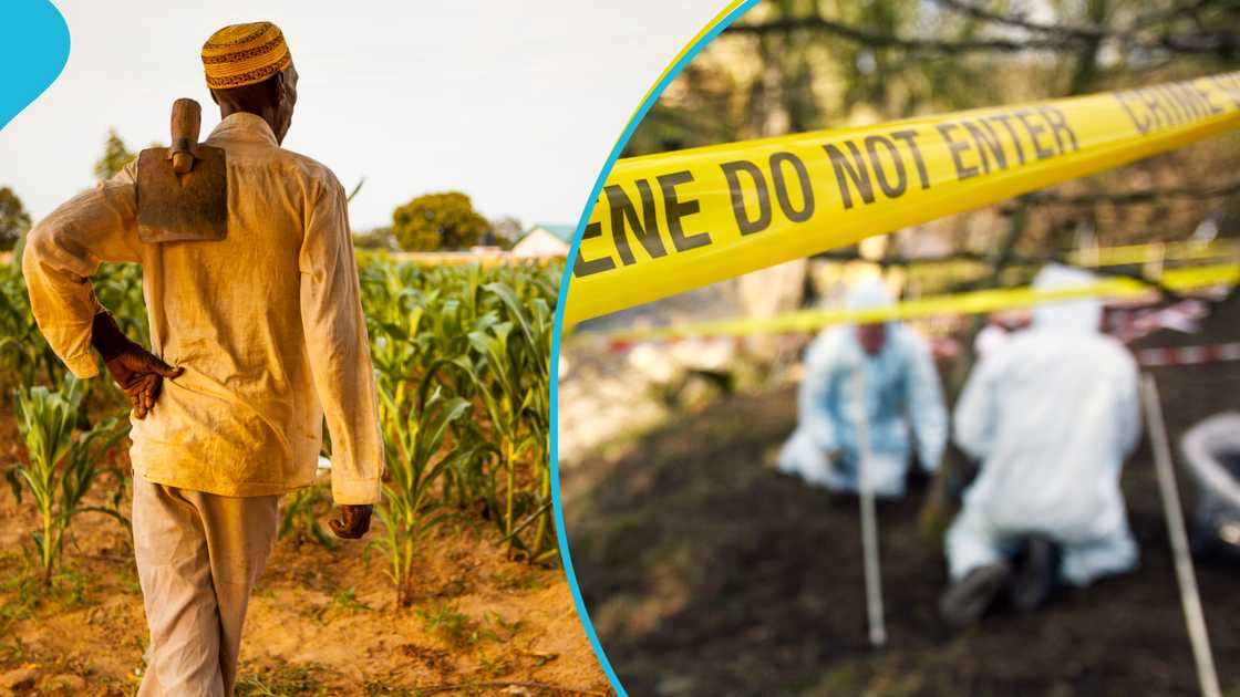 Farmers upset as investigations into army helicopter crash keep them from their farms