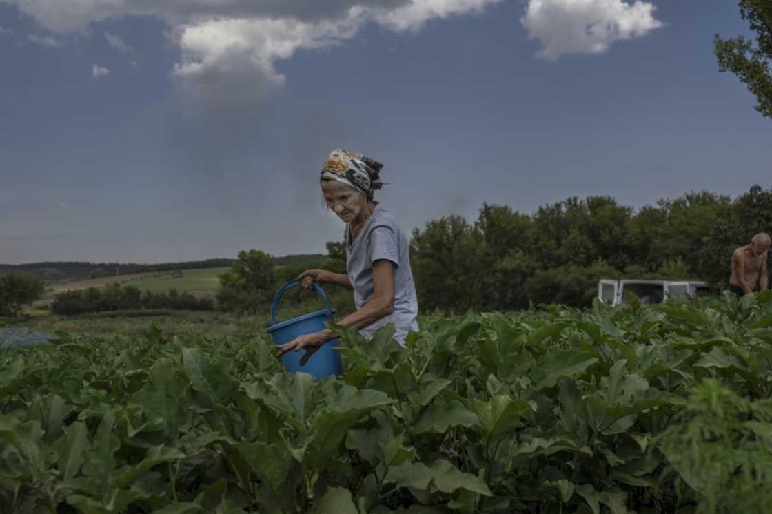 Russia has refocussed its efforts on Donbas, where the Kremlin has been backing separatists since 2014 Russia has refocussed its efforts on Donbas, where the Kremlin has been backing separatists since 2014