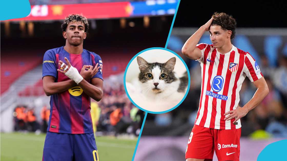 Copa del Rey: Mystic Cat Backs Barcelona to Pull Off Miracle Against Atletico Madrid