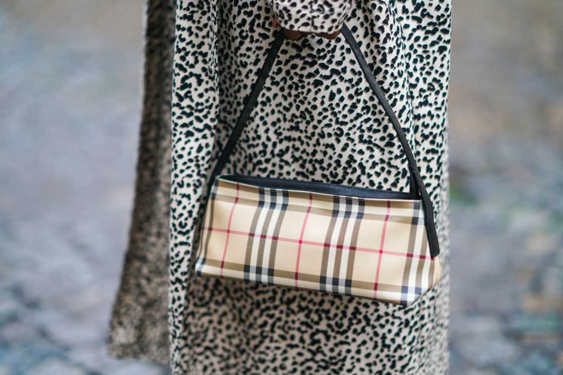 Woman in leopard print dress holding Burberry bag. Woman in leopard print dress holding Burberry bag.