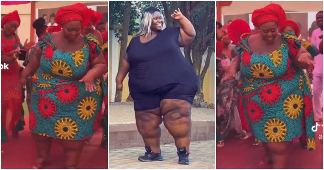 Photos of PM Reigns. Photos of PM Reigns.