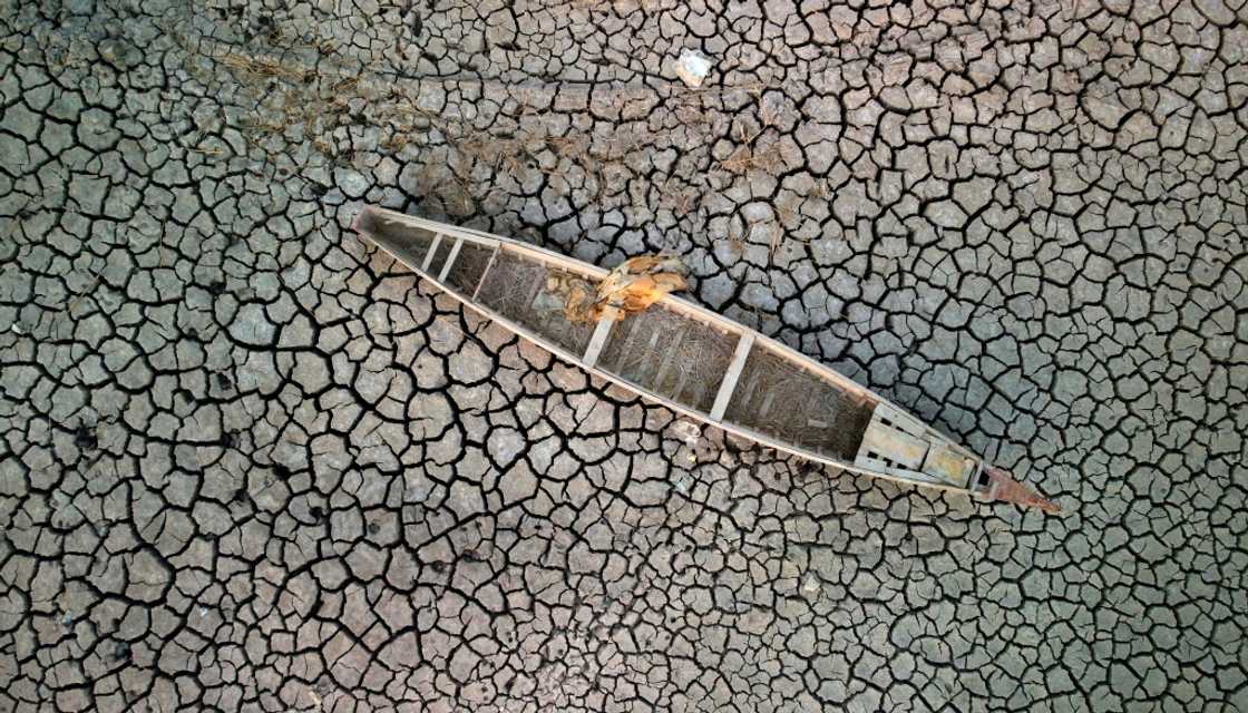 In the past year alone the world has been battered by increasingly intense heatwaves and crop-withering droughts In the past year alone the world has been battered by increasingly intense heatwaves and crop-withering droughts