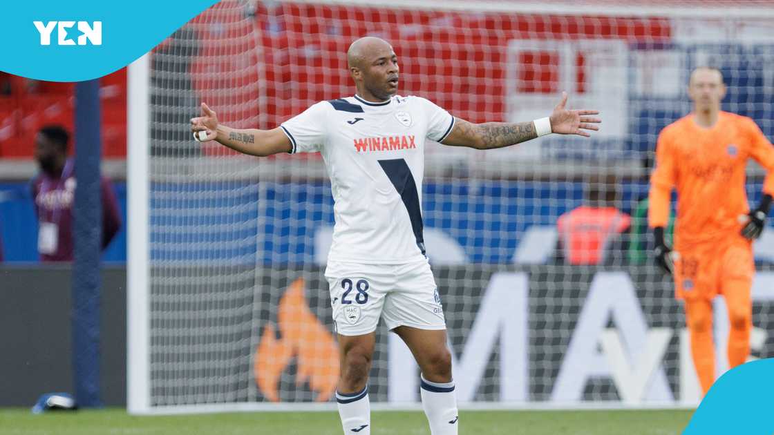 Andre Ayew for Hearts of Oak, Andre Ayew leaves Le Havre, Andre Ayew next club Andre Ayew for Hearts of Oak, Andre Ayew leaves Le Havre, Andre Ayew next club