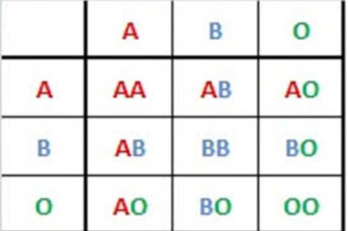 blood type genotypes