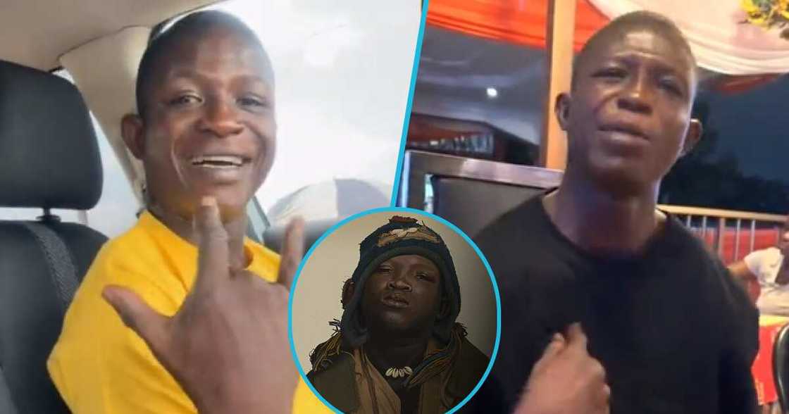 Photos of Strika. Photos of Strika.