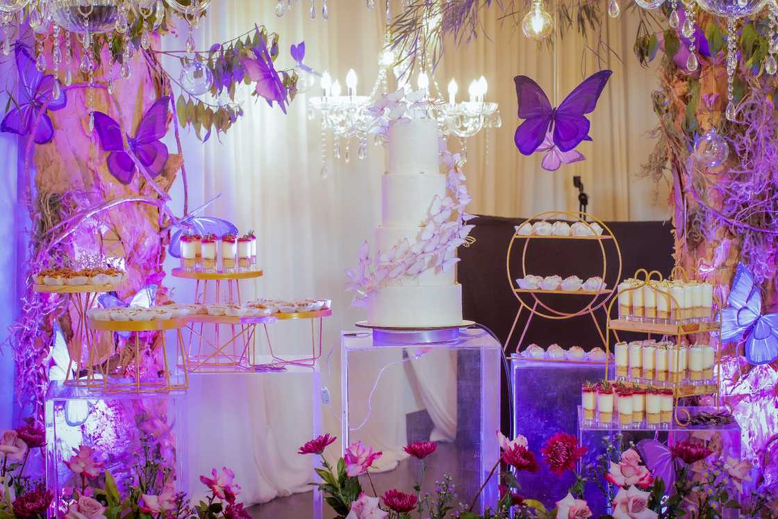 Colourful butterflies theme Colourful butterflies theme