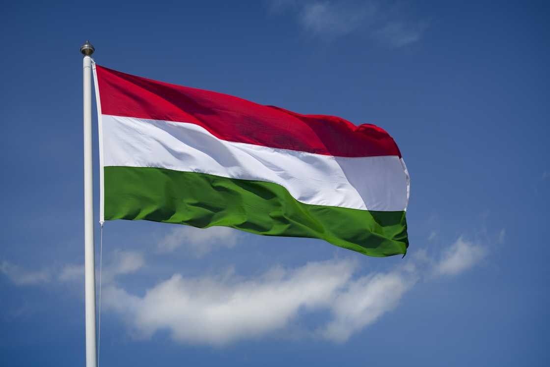 The flag of Hungary