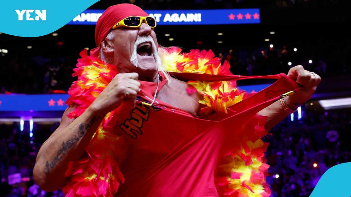 Wrestling, WWE, Hulk Hogan, Clearwater, Florida