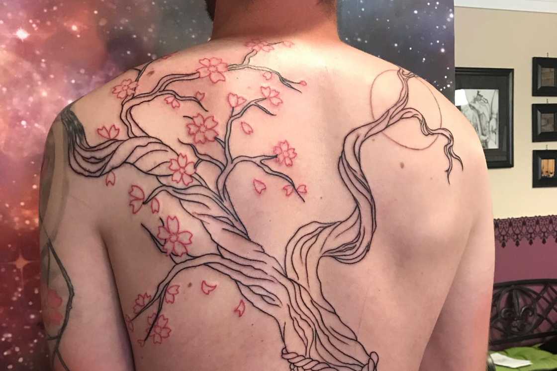 A man shows off his Back cherry blossom tattoo