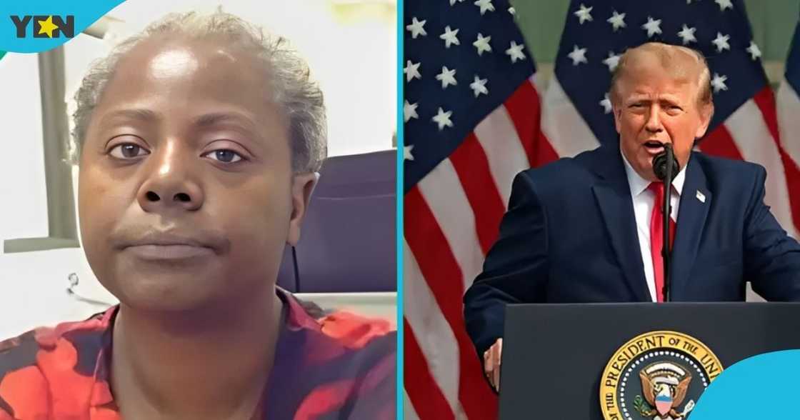 US deportation list, West Africa deportations, arrests, Nigeria, deportation cases, immigration fraud, identity theft, criminal charges, deportation, fraud, embezzlement