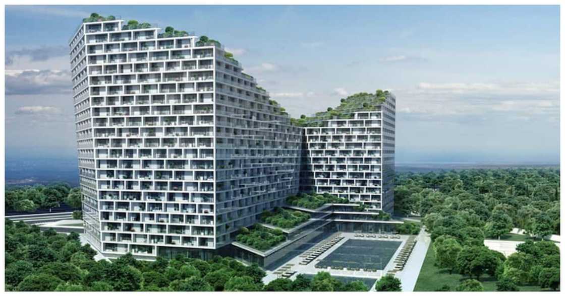 The Graduators The Graduators