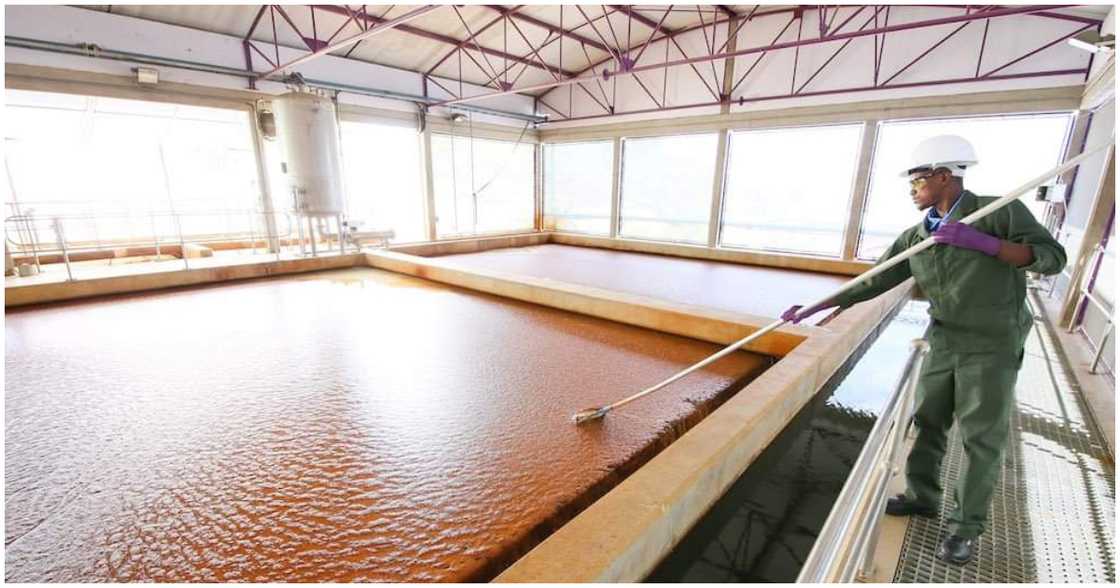 Waste water undergoes treatment Waste water undergoes treatment