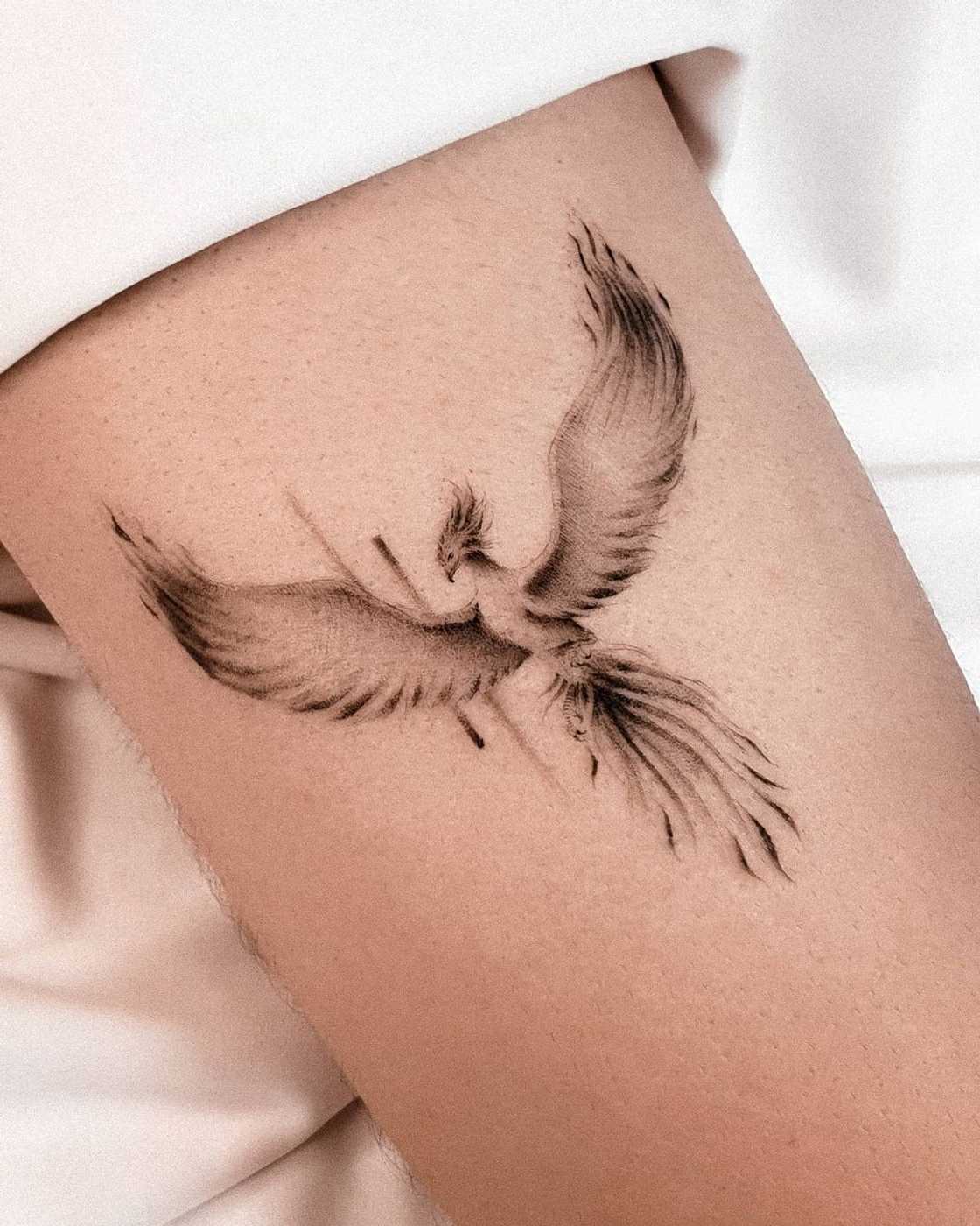 phoenix tattoo