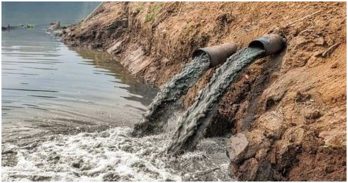 Sewage flows into a water body