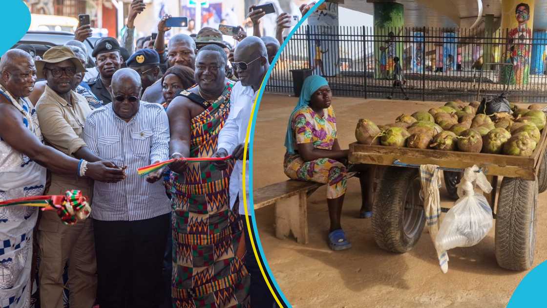 Hawker, Flower Pot Interchange, Flower Pot Roundabout, Titus Glover, Akufo-Addo