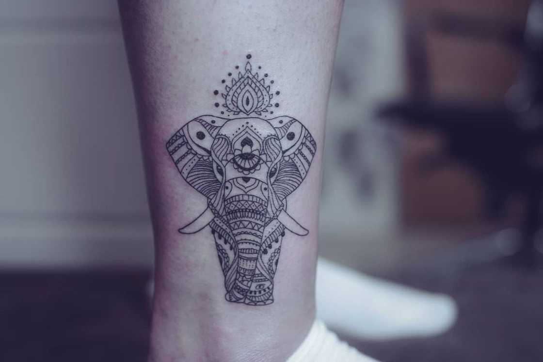 Elephant tattoo Elephant tattoo