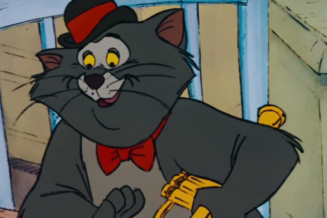 Scat Cat is sitting on a blue metal chair Scat Cat is sitting on a blue metal chair