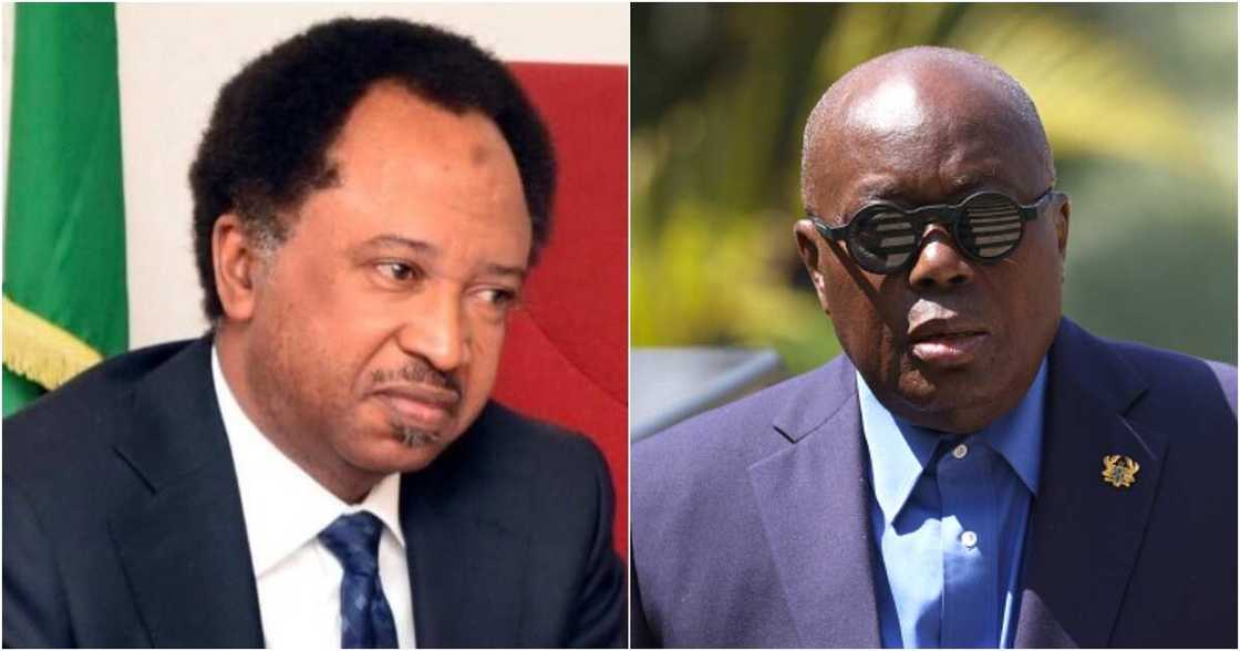 Shehu Sani and Nana Akufo-Addo Shehu Sani and Nana Akufo-Addo