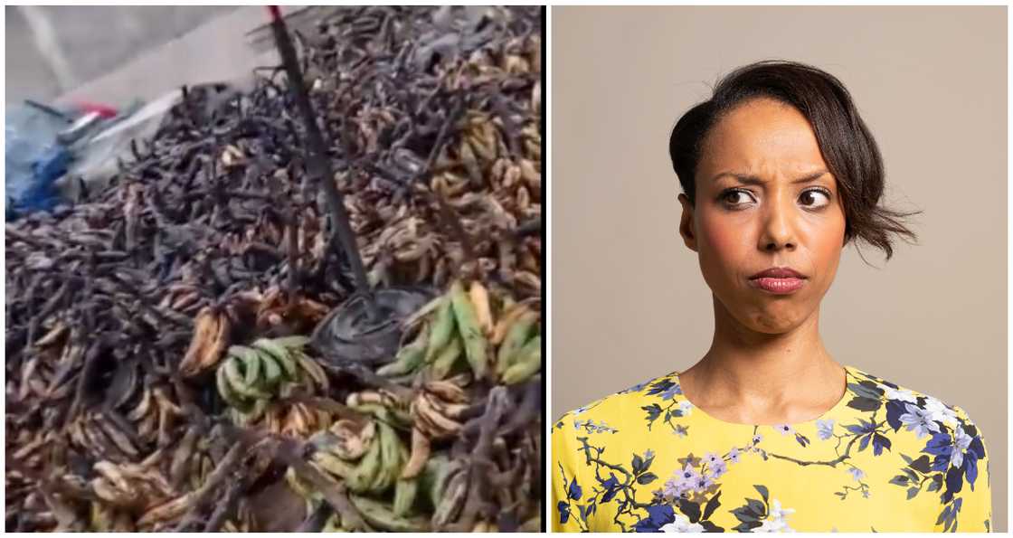 Thousands of plantains left rotten in market due to overpricing gets many talking online Thousands of plantains left rotten in market due to overpricing gets many talking online
