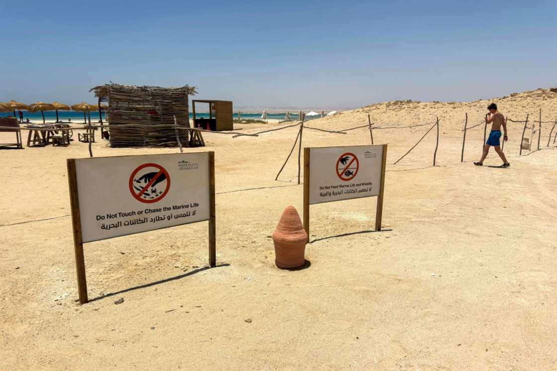 A tourist walks past signs warning people not to disturb the local marine life and wildlife at the beach at the Ras Hankorab A tourist walks past signs warning people not to disturb the local marine life and wildlife at the beach at the Ras Hankorab
