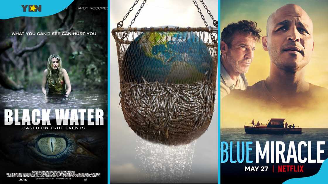 From left to right: Black Water (2007), Seaspiracy (2021), and Blue Miracle (2021) From left to right: Black Water (2007), Seaspiracy (2021), and Blue Miracle (2021)