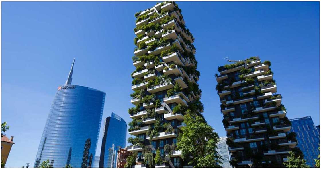The Bosco Verticale building The Bosco Verticale building