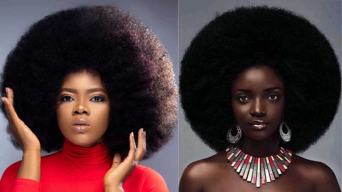 Women rocking Voluminous Kinky Afro Women rocking Voluminous Kinky Afro
