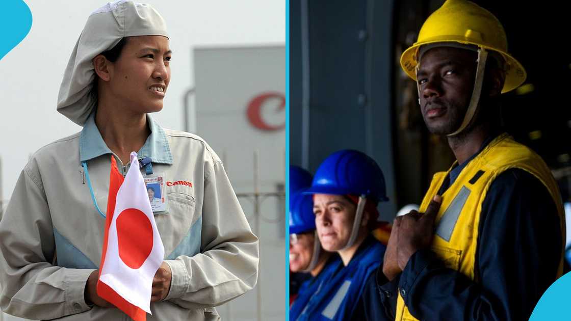 Japan, Technical Intern Training Programme