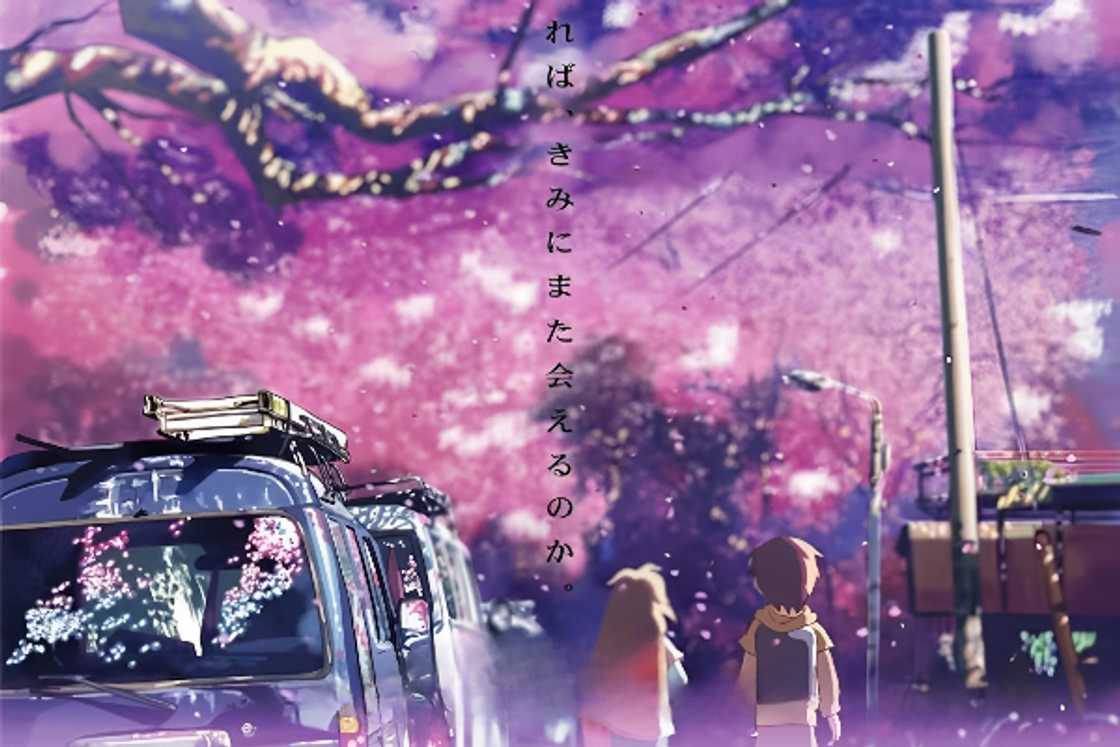 The 5 Centimetres per Second (2007) poster The 5 Centimetres per Second (2007) poster