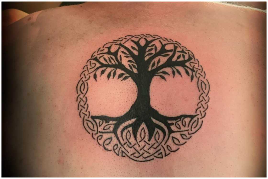 Back tattoos for women Back tattoos for women