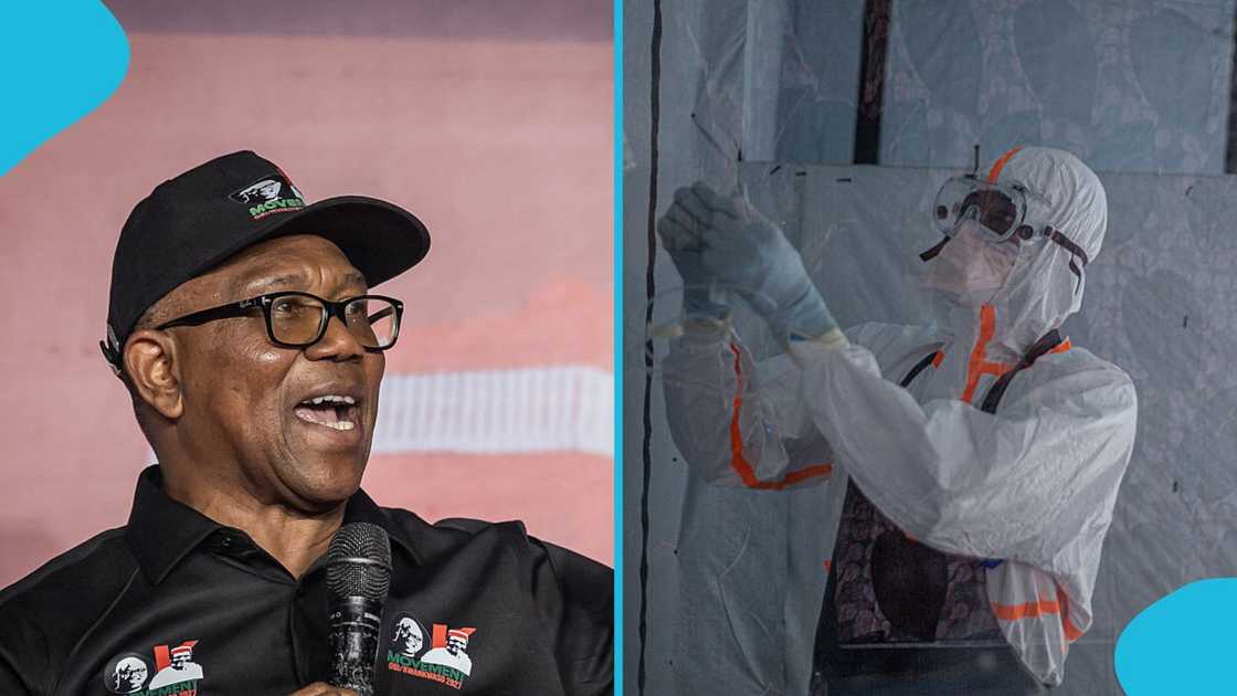 Ebola in Nigeria, Nigeria's Opposition, Ebola Fund, Bola Ahmed Tinubu, APC Ebola in Nigeria, Nigeria's Opposition, Ebola Fund, Bola Ahmed Tinubu, APC