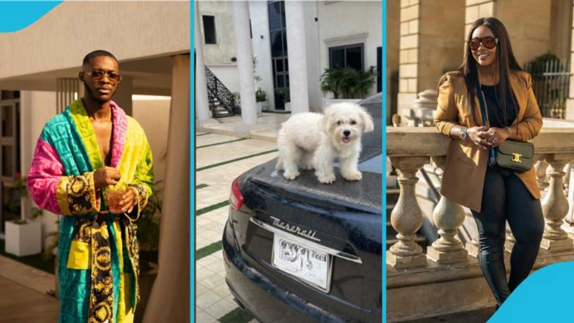 Jackie Appiah, social media, mansion, Ghanaian actresses, viral, dogs, Ghanaian movies, Jackie Appiah awards, wealth Jackie Appiah, social media, mansion, Ghanaian actresses, viral, dogs, Ghanaian movies, Jackie Appiah awards, wealth
