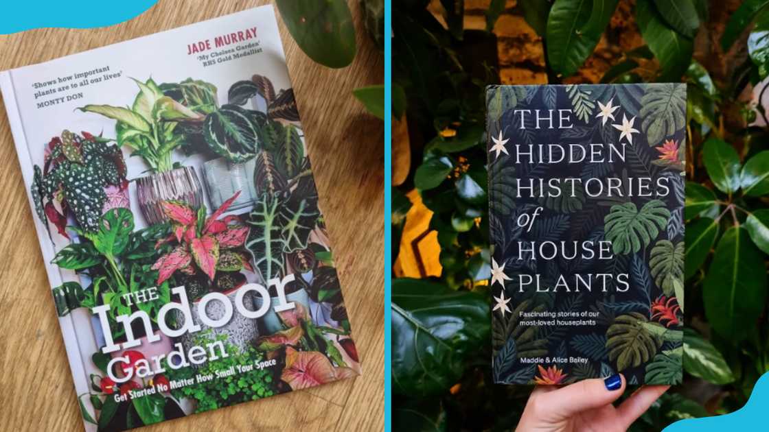 Indoor plant books Indoor plant books