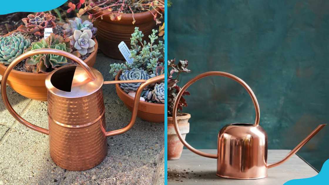Copper watering cans Copper watering cans