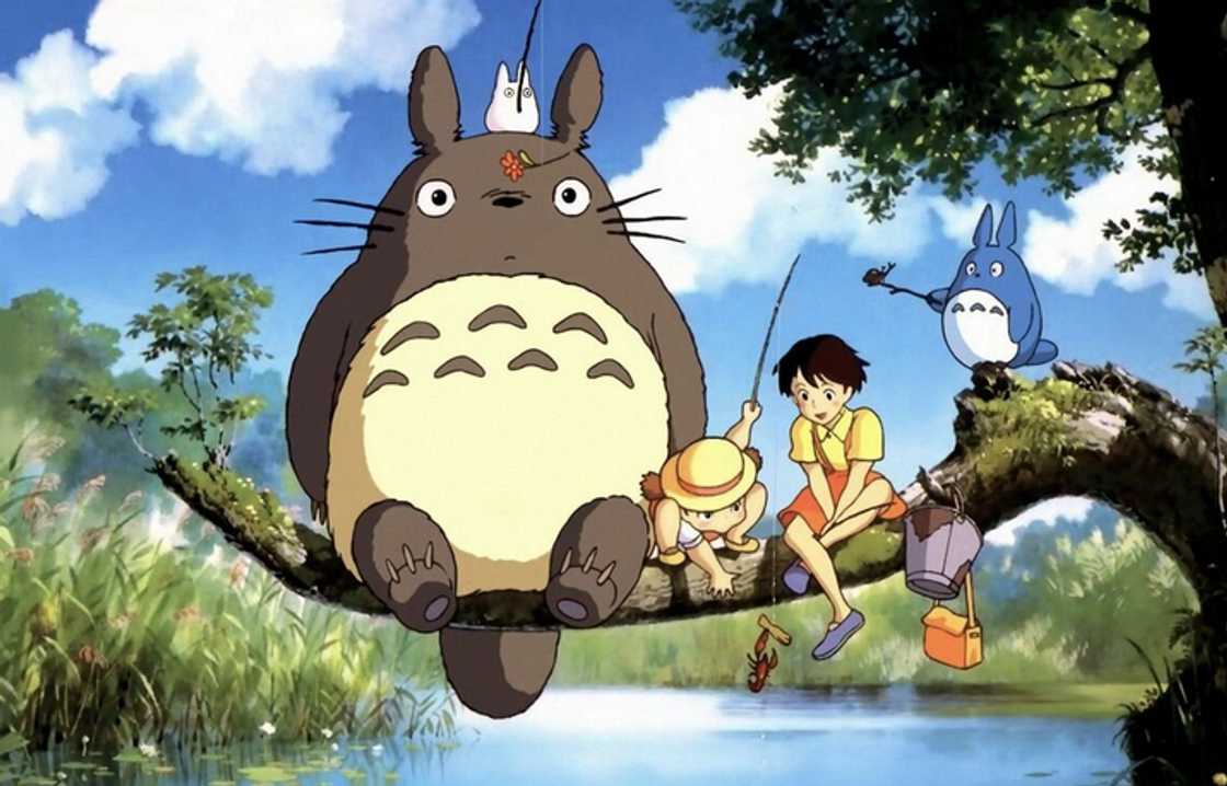 Totoro from My Neighbor Totoro Totoro from My Neighbor Totoro