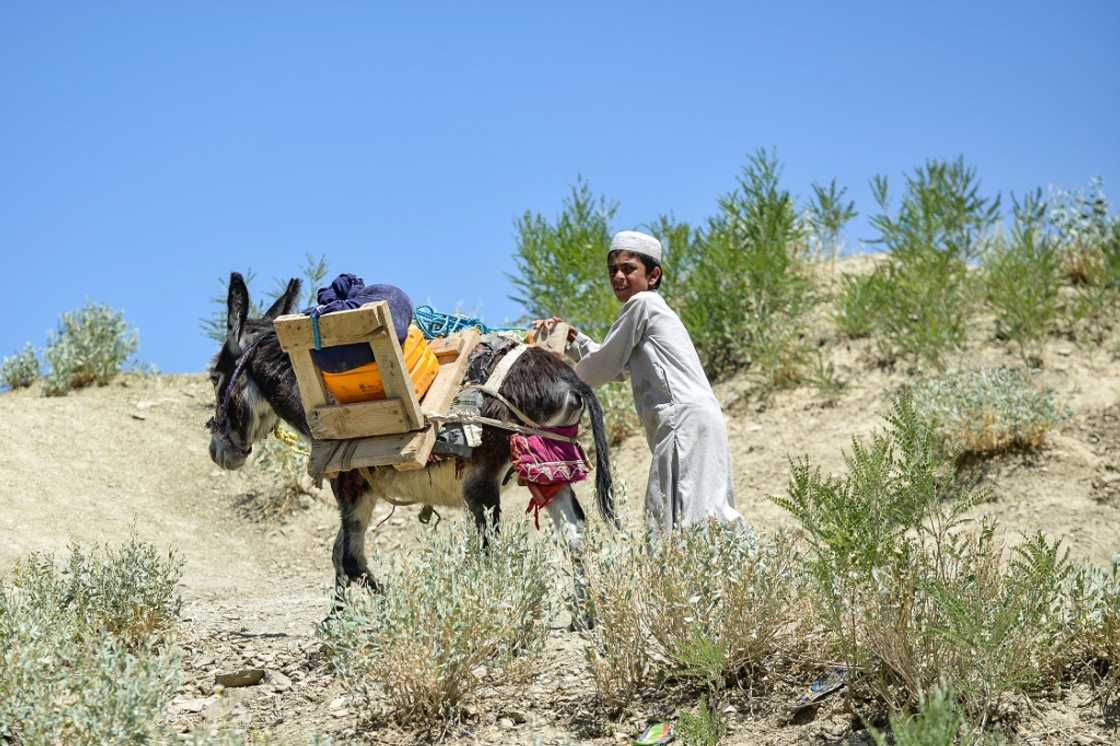 A young boy urges his donkey towards shelter as he leaves his wrecked village in Gayan district A young boy urges his donkey towards shelter as he leaves his wrecked village in Gayan district